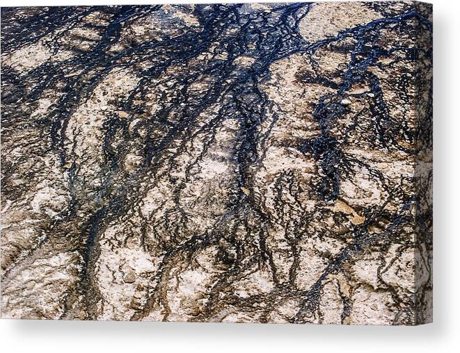 Landscapes Canvas Print featuring the photograph Hot Spring Abstract LAN 771 by Gordon Sarti