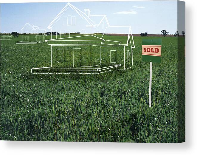 Grass Canvas Print featuring the drawing House plans on lawn by 'sold' sign (digital composite) by Rupert King