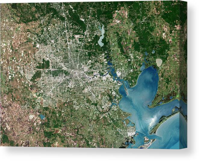 Houston Canvas Print featuring the photograph Houston by Planetobserver/science Photo Library