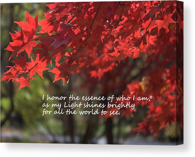 Affirmation Canvas Print featuring the photograph I Honor The Essence of Who I Am by Patrice Zinck