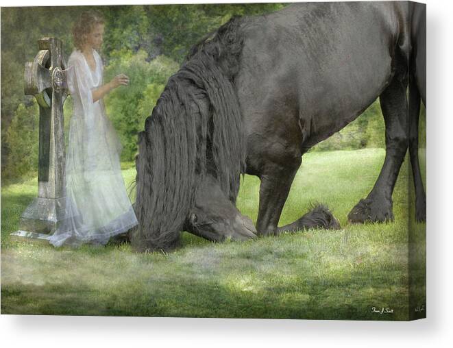 Horses Canvas Print featuring the photograph I Miss You by Fran J Scott