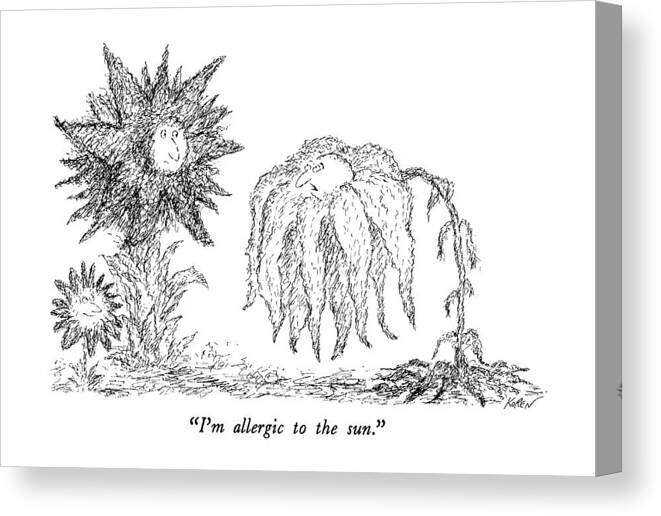 

 One Drooping Sunflower To His Healthier Friends. 
Problems Canvas Print featuring the drawing I'm Allergic To The Sun by Edward Koren