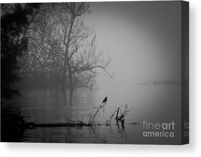 Fog Canvas Print featuring the photograph Into The Soup by Douglas Stucky