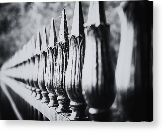 Paris Canvas Print featuring the photograph Iron Fence by Ryan Wyckoff