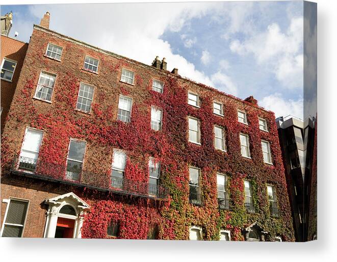 Dublin Canvas Print featuring the photograph Ivy Covered Georgian Style Building In by Lleerogers