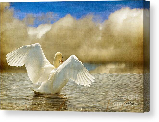 Swans Canvas Print featuring the photograph Lady-In-Waiting by Lois Bryan