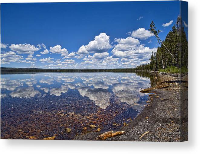 Landscape Canvas Print featuring the photograph Lake Lewis Reflections by Mark Harrington