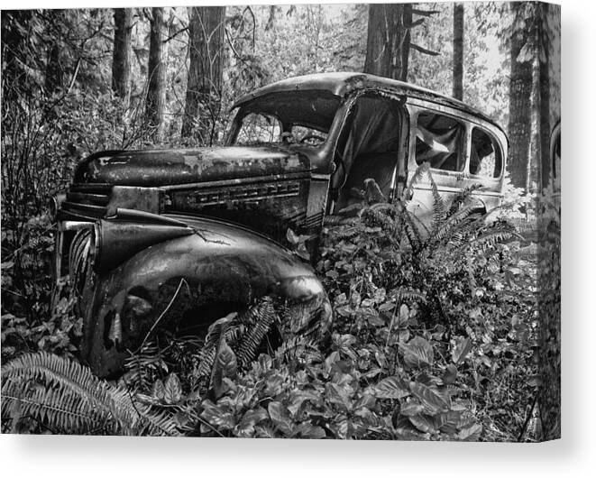 Old Car Canvas Print featuring the photograph Last Stop Paradise by Betty Depee
