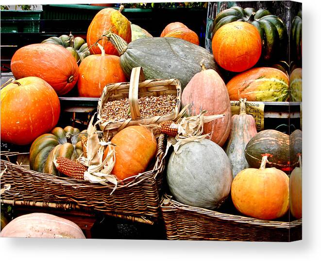 Pumpkin Canvas Print featuring the photograph Le Zucche in Portovenere Italy by Sally Ross