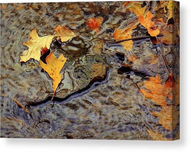 Autumn Canvas Print featuring the photograph Life Flows by Viviana Nadowski