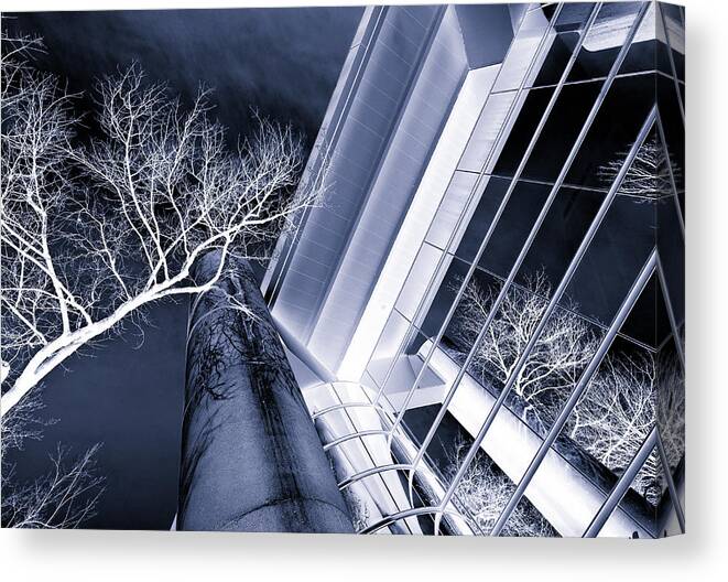 Life In Glass Canvas Print featuring the photograph Life in Glass mono 3 by Rachel Cohen