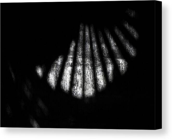 Light Canvas Print featuring the photograph Light by Kristy Jeppson