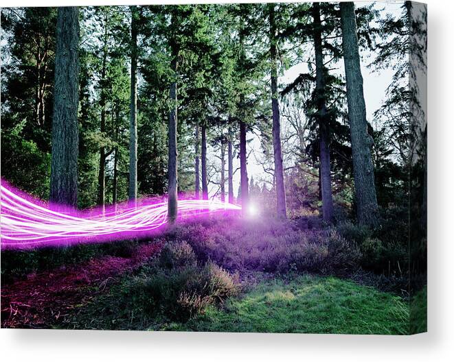 Scenics Canvas Print featuring the photograph Light Trails Passing Through Woods by Robert Decelis Ltd