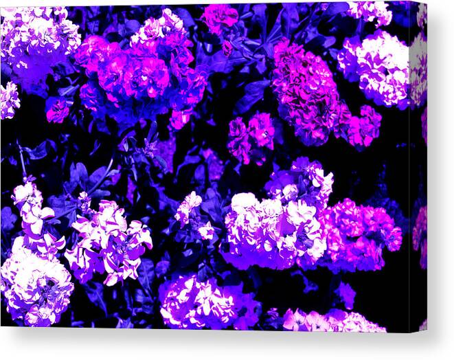 Abstract Canvas Print featuring the photograph Lilacs by Michael Nowotny