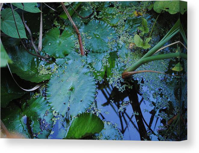 Fear Canvas Print featuring the photograph Lillies of the Garden by George D Gordon III