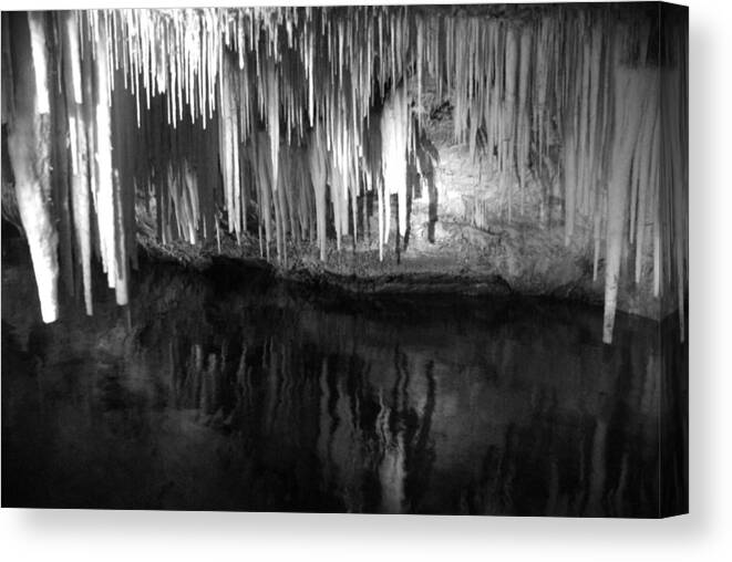 Rock Canvas Print featuring the photograph Limestone Icicles by Gregory Lafferty