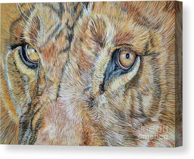 Pastel Canvas Print featuring the pastel Lion Eyes by Ann Marie Chaffin