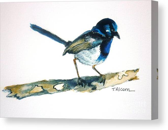 Birds Canvas Print featuring the painting Little Blue Wren - original SOLD by Therese Alcorn