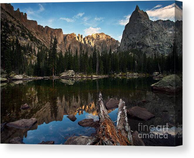 Nature Canvas Print featuring the photograph Lone Eagle Reflection by Steven Reed