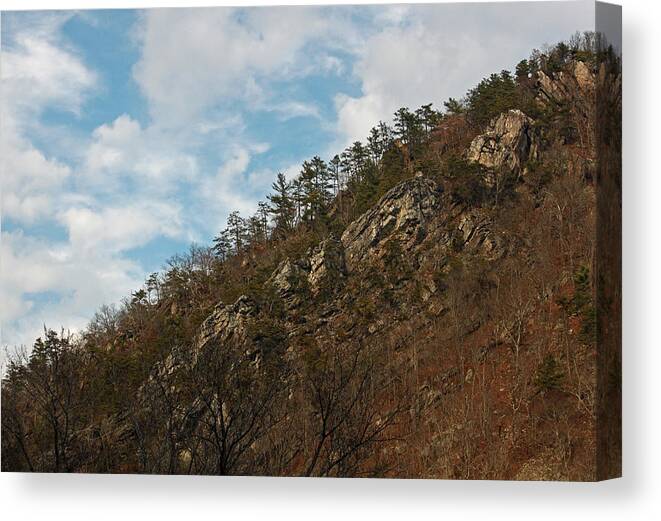 Mountain Canvas Print featuring the photograph Look Up by Suzanne Gaff