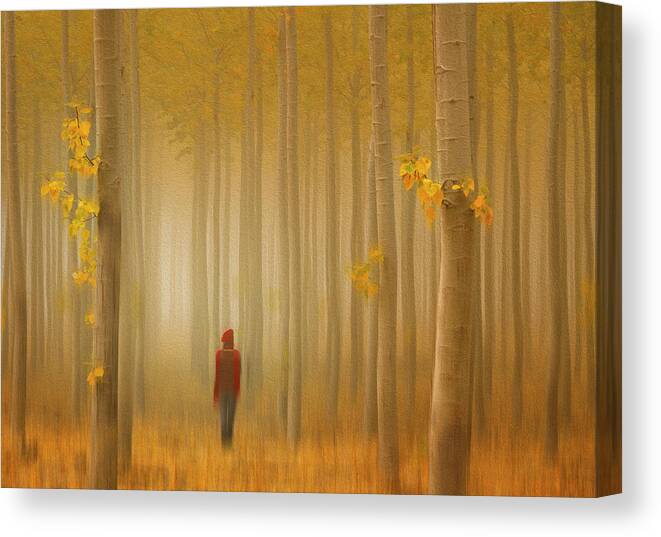 Autumn Canvas Print featuring the photograph Lost In Autumn by Lydia Jacobs