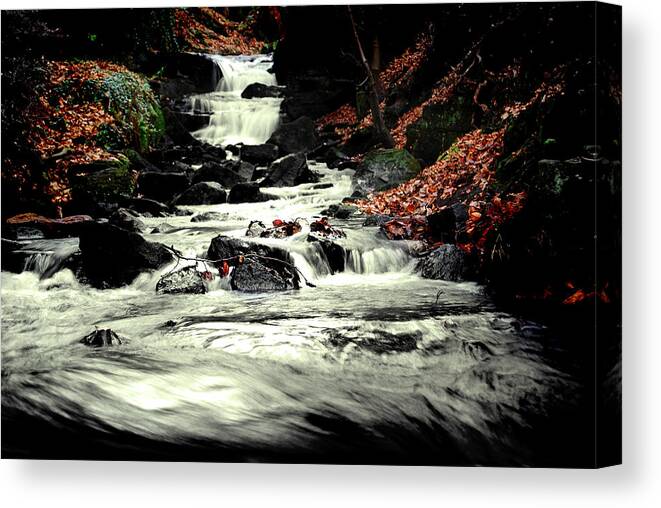 Water Canvas Print featuring the photograph Lwv10019 by Lee Winter