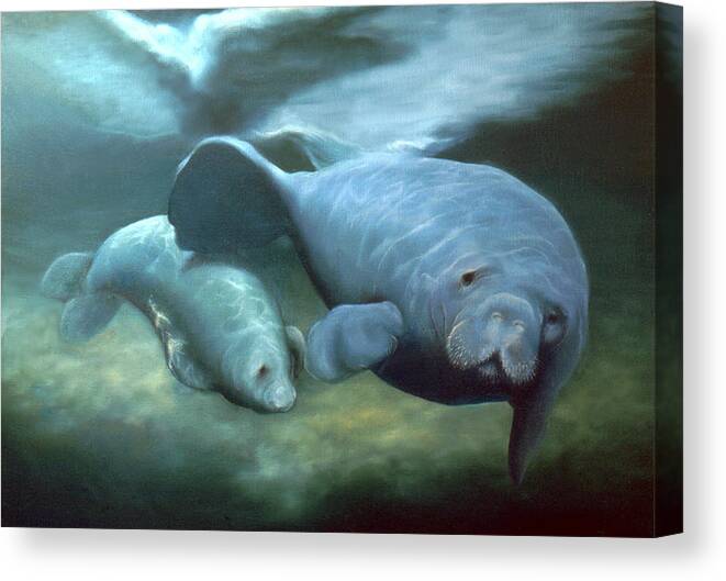 Manatees Canvas Print featuring the painting Manatee Madonna by Anni Adkins