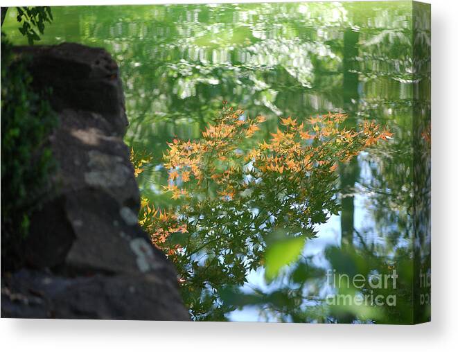 Maple Canvas Print featuring the photograph Maple Reflections by Sharon Elliott