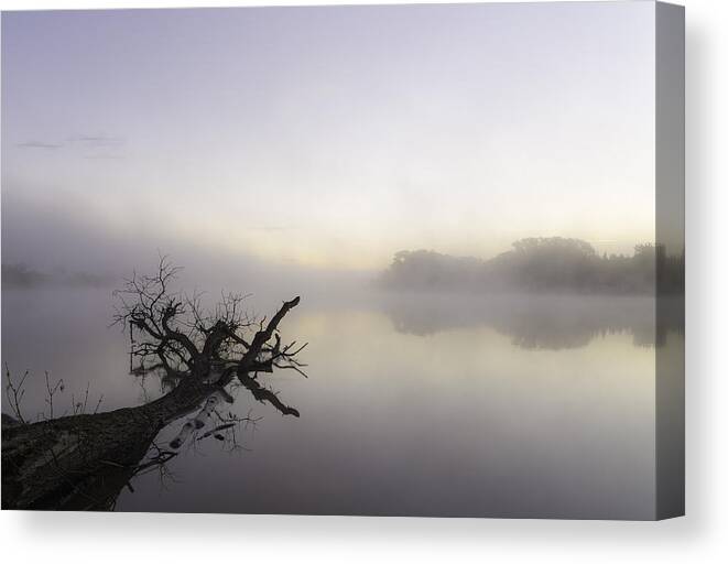 Canada Canvas Print featuring the photograph Misty Morning by Nebojsa Novakovic