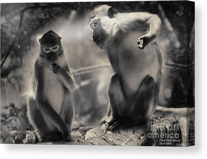 Monkeys Canvas Print featuring the photograph Monkeys in Freedom by Christine Sponchia
