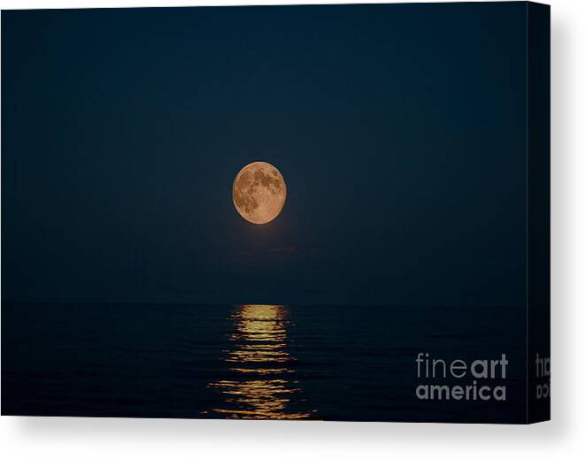 Blue Moon Canvas Print featuring the photograph Moon Over Lake Of Shining Waters by Barbara McMahon