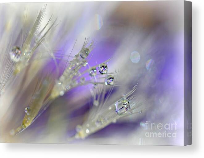 Morning Dew Canvas Print featuring the photograph Morning Dew by Lila Fisher-Wenzel