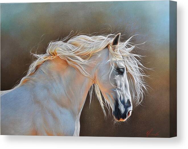 Andalusian Canvas Print featuring the drawing Morning glow by Elena Kolotusha