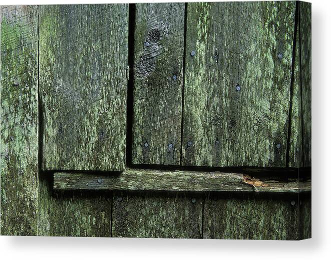 Laura Tucker Canvas Print featuring the photograph Mossy Barn Door by Laura Tucker