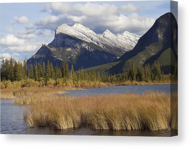 Canadian Rocky Mountains Canvas Print featuring the photograph Mt. Rundle by Elvira Butler