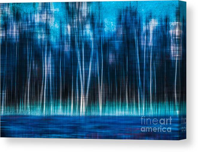 Birch Canvas Print featuring the photograph Mystic Forest by Hannes Cmarits
