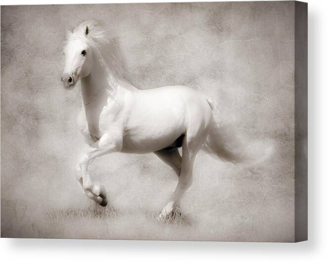 Horses Canvas Print featuring the photograph Mystical by Athena Mckinzie