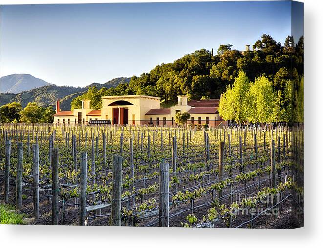 Agriculture Canvas Print featuring the photograph Napa Valley Spring Sunset by George Oze