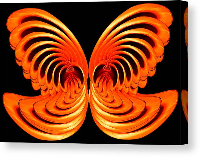 Composite Canvas Print featuring the photograph Nautilus Wings by Jim Painter