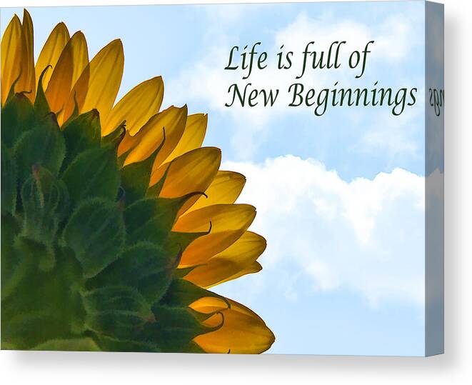 Sunflower Canvas Print featuring the photograph New Beginnings by Cathy Kovarik