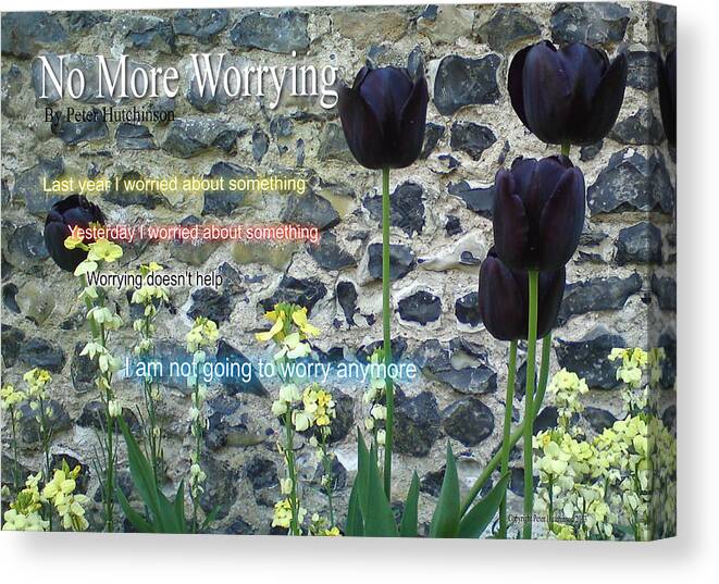 Flower Canvas Print featuring the photograph No More Worrying by Peter Hutchinson