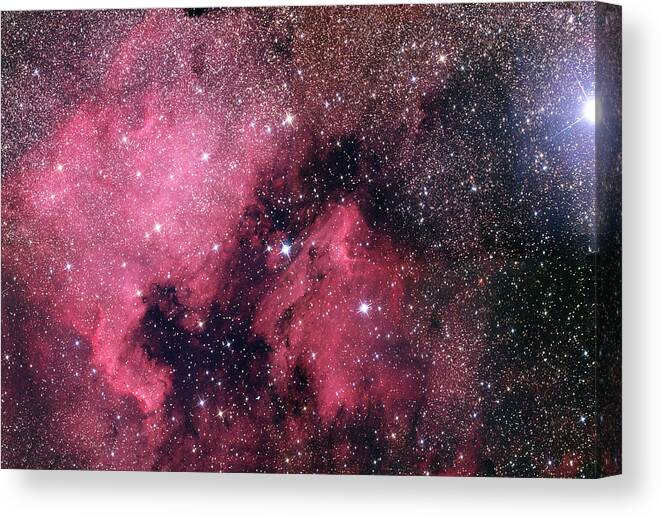 Deneb Canvas Print featuring the photograph North America Nebula And Pelican Nebula by Adam Block/science Photo Library