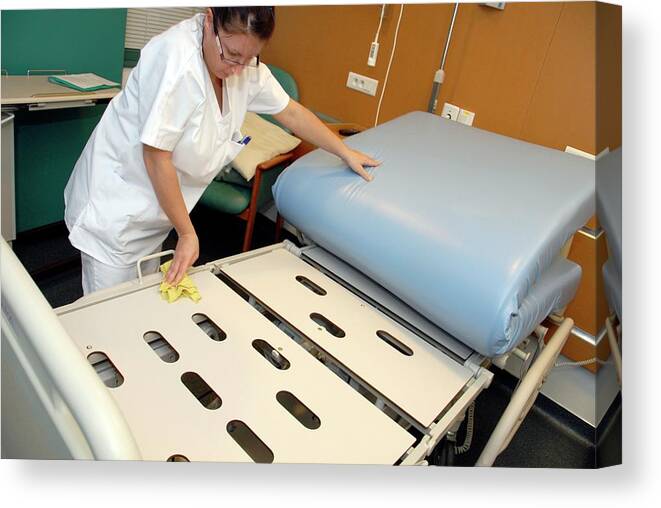 Equipment Canvas Print featuring the photograph Nurse Cleaning Hospital Bed by Aj Photo/science Photo Library