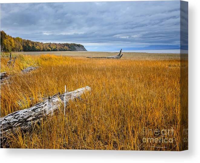 Alaska Canvas Print featuring the photograph On the Shore of Turnagain Arm by Susan Serna