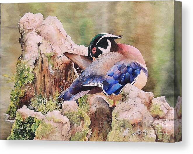 Wood Duck Canvas Print featuring the painting One More Spot. SOLD by Sandy Brindle