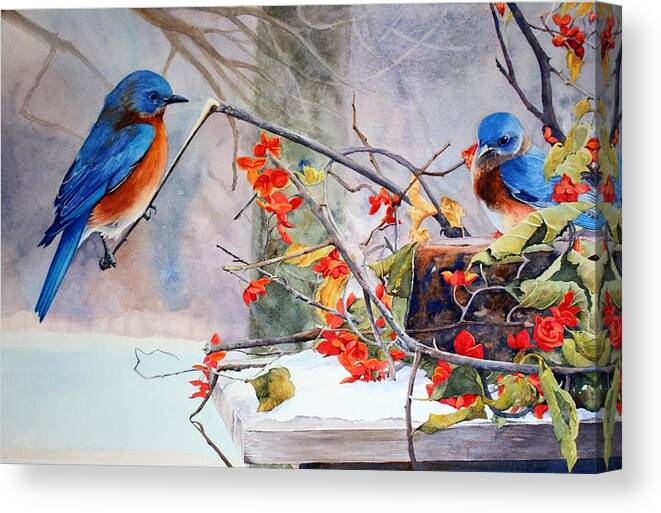 Missouri State Bird Canvas Print featuring the painting Out on a Limb by Brenda Beck Fisher
