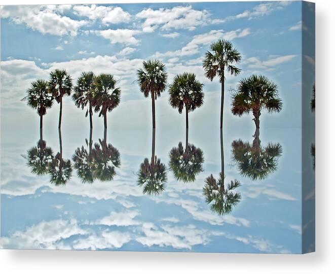 Palm Tree Canvas Print featuring the photograph Palm Tree Reflection by Aimee L Maher ALM GALLERY