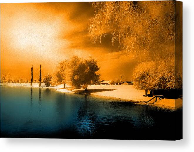 Lake Canvas Print featuring the photograph Park in Infrared by Jim Painter