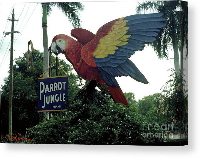 Parrot Jungle Entrance In Miami Canvas Print featuring the photograph Parrot Jungle Miami Entrance by Robert Birkenes