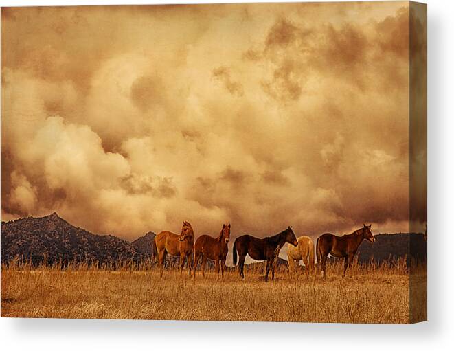 Peeples Valley Horses Canvas Print featuring the photograph Peeples Valley Horses by Priscilla Burgers